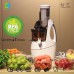 CH814C big mouth slow juicer  